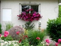 dscn0064.jpg