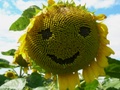 dscn0092.jpg