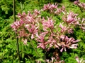 dscn0108.jpg