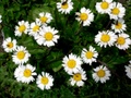 dscn0116.jpg