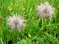 dscn0138.jpg