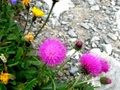 dscn0150.jpg
