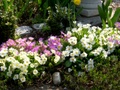 dscn2073.jpg