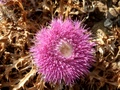 pict0108.jpg